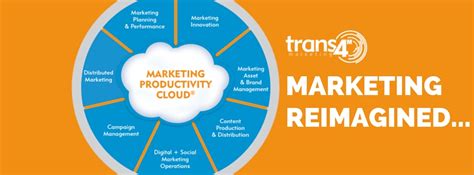 t4m coffs|Trans4mMarketing